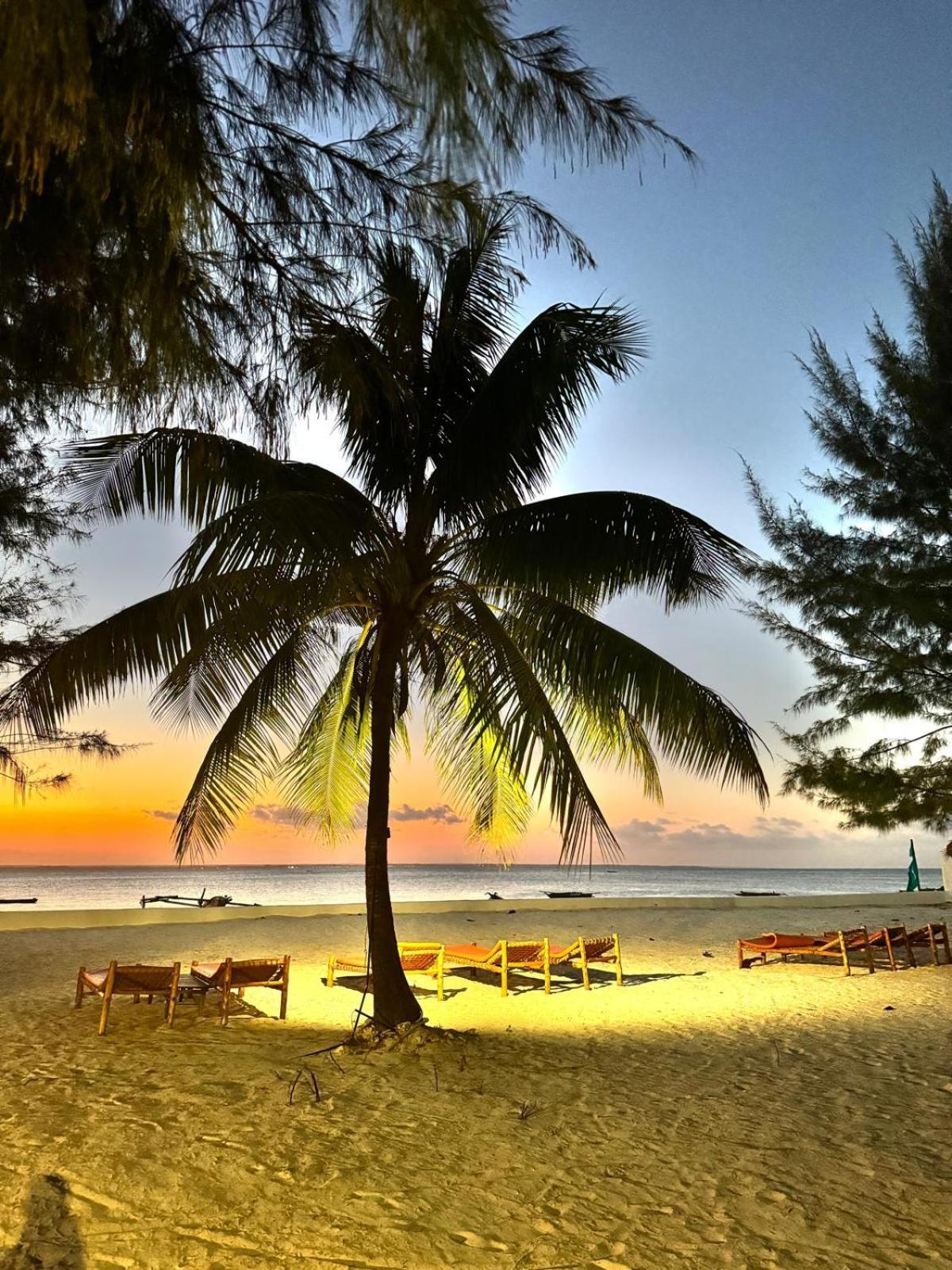 Bahati Sunset Bungalows Michamvi Dış mekan fotoğraf