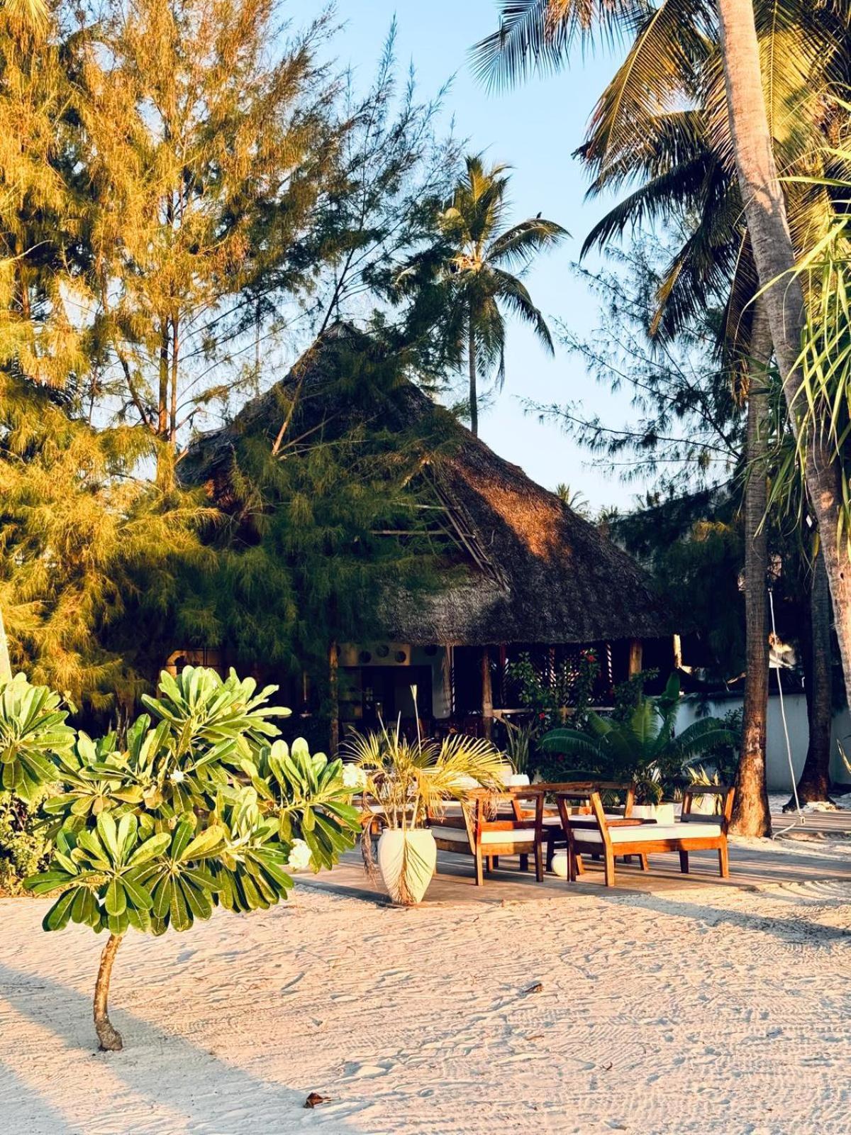 Bahati Sunset Bungalows Michamvi Dış mekan fotoğraf